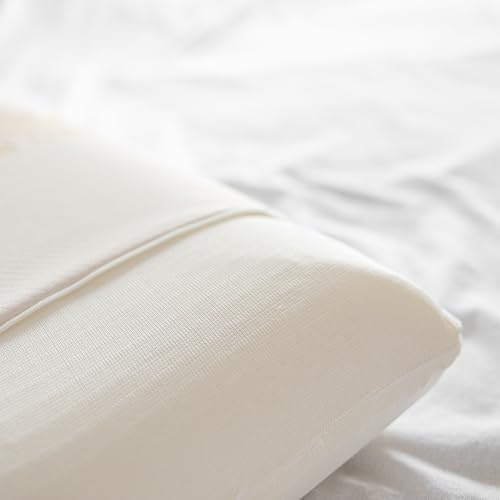 ALMOHADAONLINE-Almohada - Cojin Viscoelástica 50x50cm 2 Unidades Económica – Espuma de Memoria de Alta Densidad, Firmeza Media, Transpirable– Descanso Reparador (2, 50x50 cm)