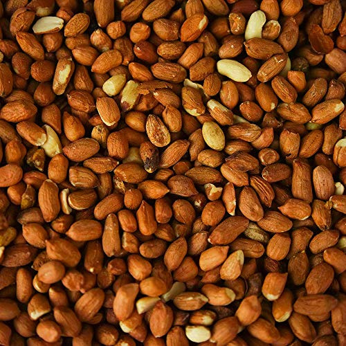 SQUAWK Cacahuetes Enteros - Alimentación de Semillas de Aves Silvestres Frescas en Jardines en Tinas para Aves (5L)