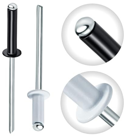 Gabex Lot de 100 rivets aveugles multicolores laqués colorés à tête plate en aluminium et acier noir et blanc (4 x 20 mm, RAL9005 noir)