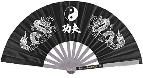 RiToEasysports Tai Chi Fan, Edelstahl Tai Chi Kampfkunst Kung Fu Tanzpraxis Training Performance Fan (Schwarz)