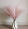 30 Pezzi Pampas Decorative,Piume Decorative Fiori Secchi Decorativi,Piume Decorative per Vaso,Fiori Secchi Decorativi per Vaso per Arredamento Casa Arredamento Boho Matrimonio (Rosa)