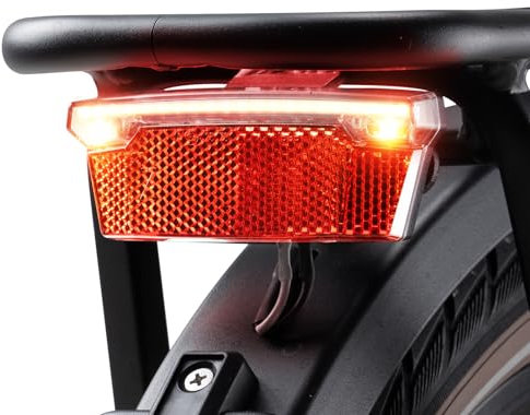E-Mangue Feux LED pour porte-bagages de vélo avec réflecteur - Feux de freinage approuvés StVZO pour la sécurité de la conduite de nuit