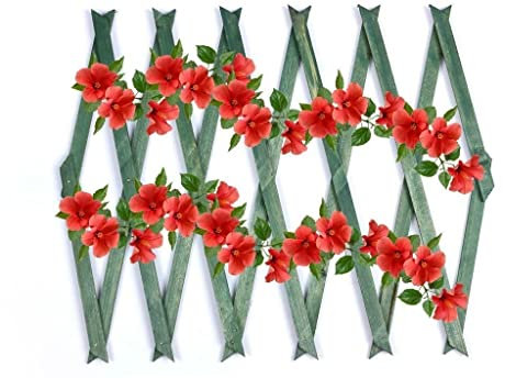 ADEPTNA Premium Expanding Garden Wooden Trellis – Easy Installation Outdoor Fence Décor Screening Patio Support For Growing Climbing Plants Flowers Lattices (180cm x 60cm, Green)