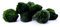 Aquarium Mooskugel 10er Set | natürlicher Wasserfilter | Marimo Mossball Aegagrophila linnaei | Größe ca. 3cm