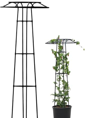 Enrejado de Flores de Paraguas Soporte Vegetal el obelisco,Enrejado for Plantas trepadora,Columna de Escalada for Plantas trepadoras,interior,exterior,Vides,Vegetales ,Frutas ,clemátide(210cm/82.7in)