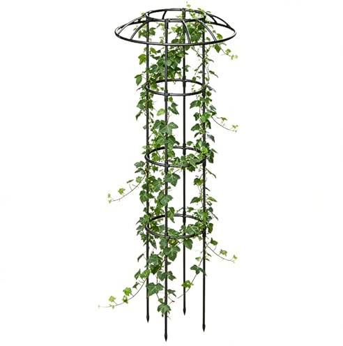 Traliccio da giardino per piante rampicanti | Supporto verticale antiruggine stabile | traliccio superiore per fiori | per clematide verdura drago frutta cetriolo ortensie pothos