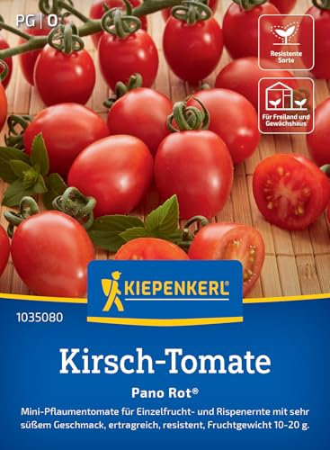 Kiepenkerl Kirsch-Tomatensamen Pano Rot® 1035080 - mini Pflaumentomaten - sehr süß - Einzelfurcht- und Rispenernte - Saatgut, Samen Gemüse, Gemüsepflanzen