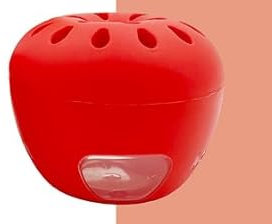 Plai 4 Pack Fruit Fly Trap Effective No Baited Indoor Fruit Fly Catcher Trap Reusable Fruit Trap for Indoor Use