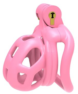 B2-Ceinture de chasteté Set de 4 cockrings Rose Sissy Sex Toy Cage de chasteté Cage de chasteté respirante avec Invisible Lock Design Homme Cock Bondage BDSM Sex toys en résine (micro,Pink)