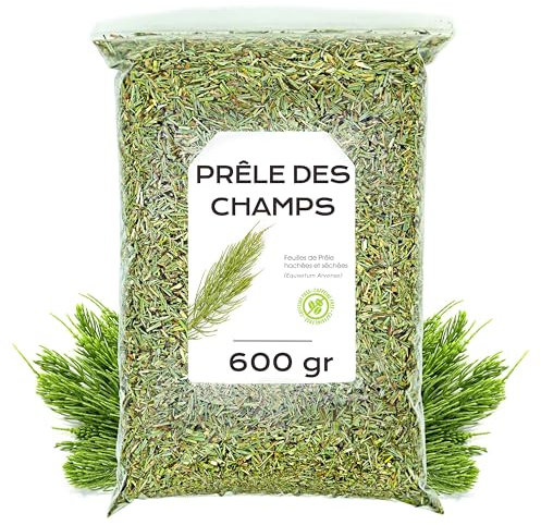 Infusion de Prêle des Champs 600 gr - Tisane de Prêle - Plante Médicinale - Infusion de Prêle - Propriétés Diurétiques - Infusion de Plantes (600 gr)