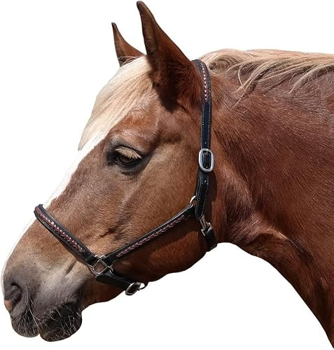 Brama West Cabestro caballo Meadow Cuero Cabestro (Pony)
