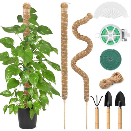 Cisivis Monstera Rankhilfe, 2 Stück 64cm Moosstäb Pflanzenstab, Biegsame Monstera Stab Pflanzstab, Natürlicher Pflanzenstütze für Kletterpflanzen mit Zubehör