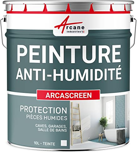 ARCANE INDUSTRIES Peinture Anti Humidité et Moisissure - Anti Condensation Salle de Bain, sous-Sol, Mur Humide - Masque Taches et Auréoles, Action Curative et Préventive - 10 L (jusqu'à 40 m