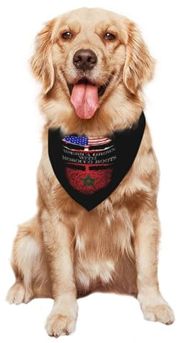 Marocko – Marockanska rötter och växer upp i Amerika hundhalsduk andningsaktiv hundbandana mjuk hundhalsduk för hundkläder och tillbehör födelsedag katter
