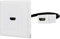Renkforce RF-4538136 HDMI Adapter [1x HDMI-Buchse - 1x HDMI-Buchse] Weiß vergoldete Steckkontakte 15.00 cm
