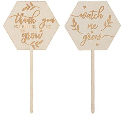 Tyenaza Watch Me Grow Succulent Tags, 36pcs Hexagon Plant Stakes Etichette Baby Shower Succulent Tag per Semi Fiori Giardino Piante in Vaso