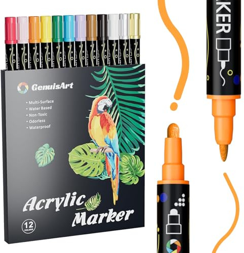 Rnigra Acrylic Paint Pens 12 Colors, Acrylic Markers Dual Tip (Fine 1mm + Dot 5mm), Acrylic Paint Pens for Rock Painting, Rock Painting Pens for Fabric, Canvas, Rock, Paper, Diy, Glass, Wood
