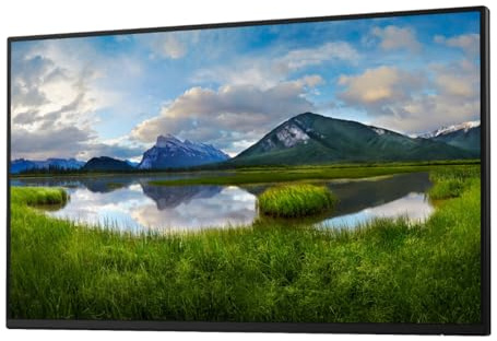 Dell 24 Monitor P2425H 23.8inch