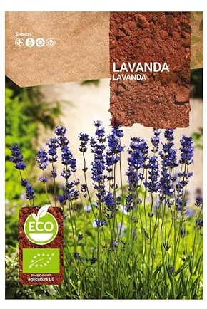 Semillas Lavanda Común, Espliego o Lavandula Angustifolia para Hacer Crecer Flores en Casa