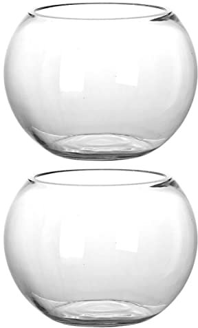 Toddmomy 2pièces Conteneurs Verre pour Plantes Bouteilles Décoratives pour Terrarium Et Paysage pour Intérieur Et Décoration Maison