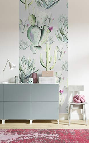 Komar Cactus Grey Vlies Fototapete 100x250cm 1-bahn.