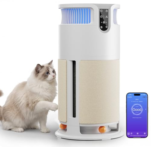 JUMMICO Purificateur d'Air Intelligent pour Animaux ; Air Purifier éliminant 99,98% des allergènes (poils, particules, moisissures) ; CADR 350 m³/h, commande APP, avec griffoir et balle pour chat