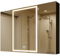 GANPE LED Beleuchtetes Badezimmer Medizin Spiegel Schrank, Defog, Stufenloses Dimmen, Speicher 3-Farben Modus, Speicher Regale, Steckdosen & USBs (3 Türen, 100 x 70 cm)
