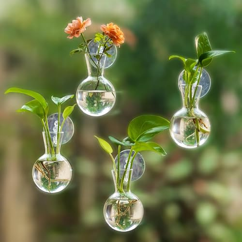 Glasseam Plant Propagation Station for Window: 4 Pcs Small Bulb Bud Vases with Suction Cups for Home Living Room Kitchen Office Decor - Hanging Glass Planter Terrarium for Hydroponic Herb Cutting