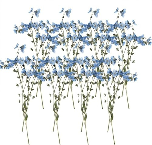 24 Pcs Forget Me not Flowers Don't Forget Me Flowers Natural Dried Flowers Real Dry Flowers Nail Art Dried Flowers with Stems Home Decorations