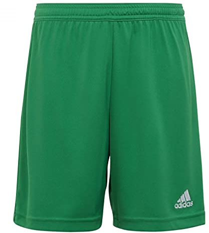 adidas Unisex Kinder Entrada 22 Shorts, Team Green, 7-8 Years