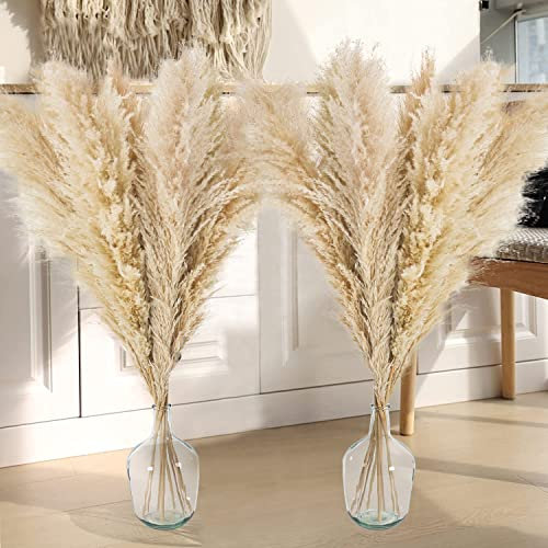 12 Stück Real Pampasgras Trockenblumen Deko, 120CM Groß Pampasgras Getrocknet Blumenstrauß, Pampas Grass XXL für Bodenvase, Schilfblume Flauschige Pampas Deko für Hochzeit Boho Deko Heim Wohnzimmer