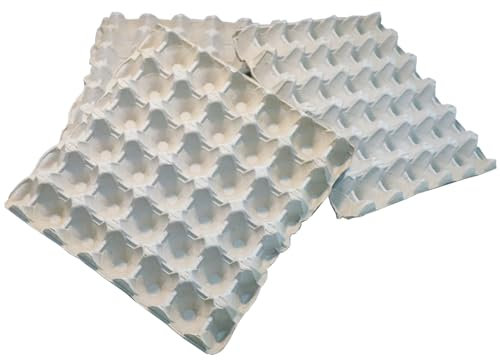 HOME CENTRE Egg Boxes Trays 10 Pieces Box Holds 30 Eggs Recyclable Biodegradable Cardboard Plain