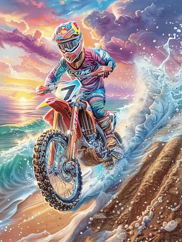 Piloto de Motocross en la Playa Puzzle 300 Piezas Impossible Creativo Único Mitos de Cuento de Hadas Rompecabezas 3D Obra De Arte para Toda La Familia Juguete Educativo Decoración 300 PCS