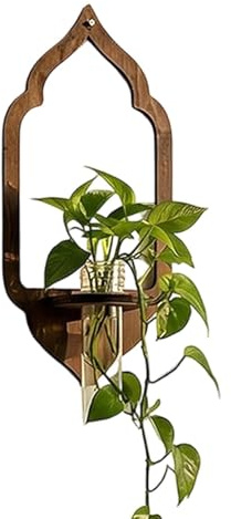 Wall Propagation Station,Hydroponic Wooden Stand with Test Tube | Wall Mounted Plant Holder,for Hallway Office Coffee Shop Kitchen Corridor Entrance Balcony