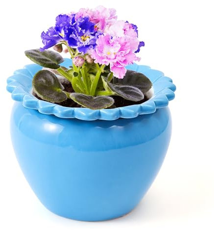 Tbpro Afrikanische Veilchen-Töpfe, 16,5 x 11,7 cm, blaue Keramik, einfache Pflanze, selbstbewässernder Topf, Keramik-Blumentopf mit wasserabsorbierendem Innentopf, Orchideen-Pflanzgefäß für beste
