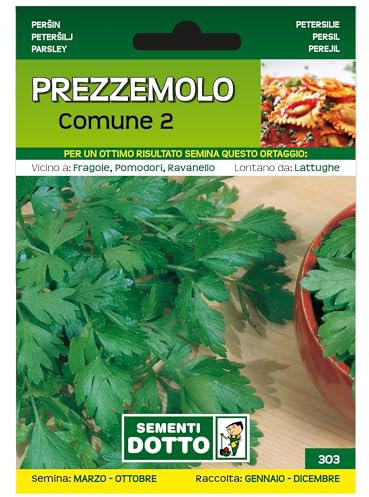 Sicignano | Semi Prezzemolo Comune 2, Pianta Aromatica, Facile da Coltivare, Busta Extra - 4 Confezioni da 13g, Resistente al Freddo, Adatto a Pieno Sole, Raccolto da Gennaio a Dicembre