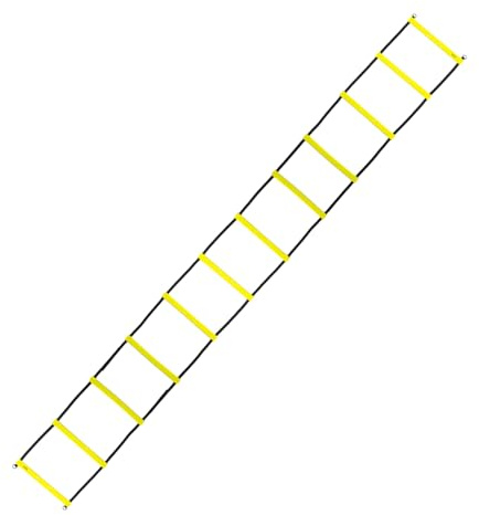 HMS Premium Coordination Ladder 6 m