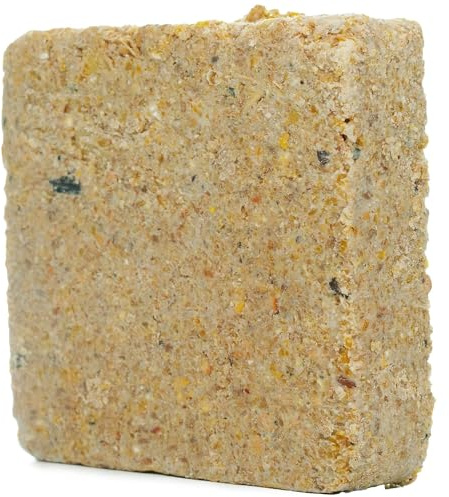 SQUAWK Suet Fat Blocks | Premium Garden Wild Bird Food | Enhanced Formula | Naturally Blended, High in Energy & Protein-Rich Feed | Full of Nutritious Fat Fibre & Moisture (Sunflower Hearts, 3)