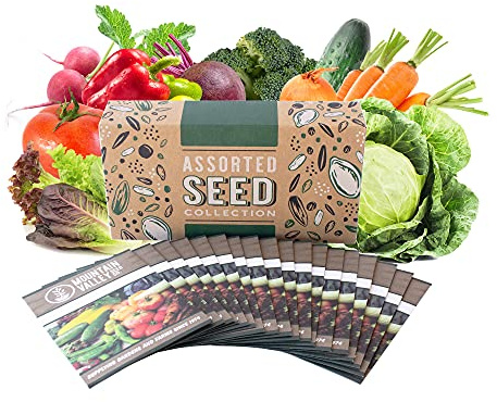 Salad Garden Seed Collection | Premium Assortment | 18 Non-GMO Vegetable Gardening Seed Packets: Swiss Chard, Pea, Spinach, Tomato, Pepper, Chives, Lettuce, & More