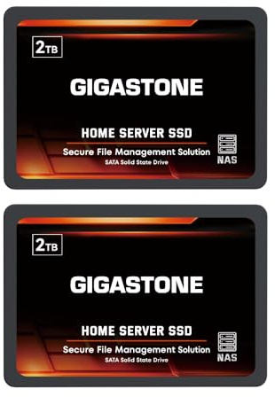 Gigastone Home Server SSD 2TB NAS SSD Drive Cache (2-Pack) 24/7 Durable TLC High Endurance Personal Cloud Data Sync Network Attached Storage RAID 3D NAND 2.5 SATA Internal Solid State Hard Drives