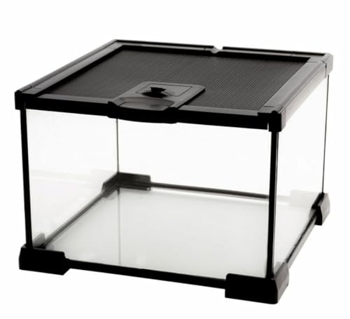 AWXZOM Mini Reptile Glass Terrarium Tank, cage for Tarantula Sling Geckos, Frog, Lizards, Chameleons,Turtles Snake Snail Insect Hermit Crab Isopods Reptiles Enclosure (7.9x7.9x5.7inch)