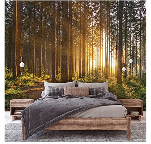 Fototapete Wald Sonne Bäume Natur Sonnenaufgang 350x245 cm Fototapeten Wohnzimmer Schlafzimmer Motivtapeten Vlies Tapete UV-Beständig Inklusive Kleister Montagefertig