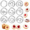 9pcs Formine per Biscotti Natale, Stampi Biscotti Natale in Acciaio Inossidabile, Tagliabiscotti Natale per DIY Decorazioni Dolci Biscotti