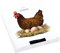 20 Servietten Henne auf Eier | Huhn | Bauernhof | Ei | Ostern | Tischdeko | Decoupage | Serviettentechnik 33x33cm