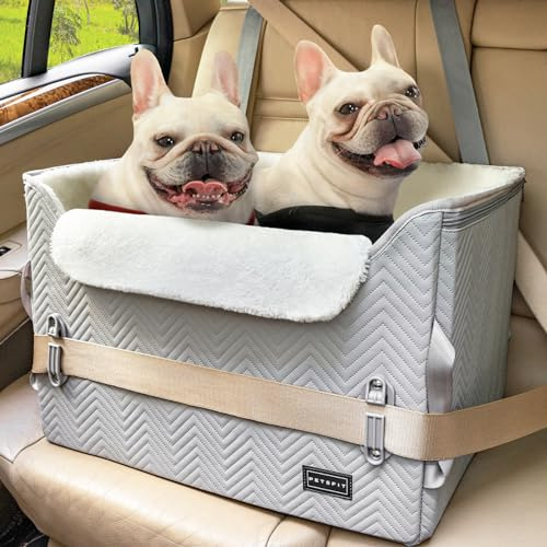 Petsfit Asiento Perro Coche Plegable, Bolsa Asiento Elevadora con Cinturones de Seguridad para Perros medianos o 2 Perros pequeños