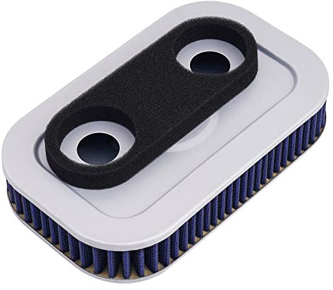 Road Passion Luftfilter Motorrad Motorrad-Luftfilter Kompatibel mit 29036-88B 29331-96 Harley Sportster 883 Anniversary XLH883 2003 Harley Sportster 883 XLH883 1988 1989-2000 2001 2002 2003