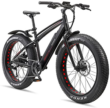 TELEFUNKEN E-Bike Mountainbike Elektrofahrrad Alu, 8 Gang Kettenschaltung - Pedelec Fatbike MTB, Hinterradmotor 250W, Scheibenbremsen, Aufsteiger FM350