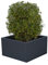 Palatino Exclusive Line Hochbeet/Pflanzkübel Clara Stahl anthrazit 100 x 100, Höhe 50 cm