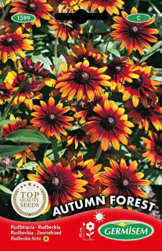 Germisem Autumn Forest Semillas de Equinácea 1 g