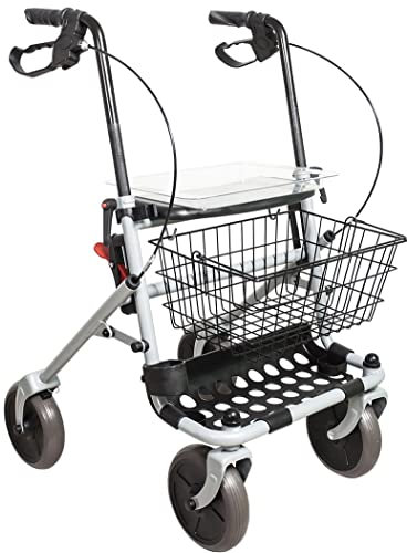 Rollator Basic Pieghevole in Acciaio con 4 Ruote Ø 20 cm